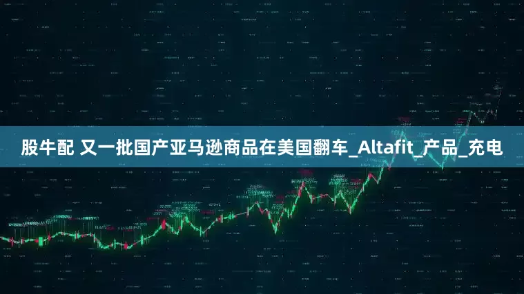 股牛配 又一批国产亚马逊商品在美国翻车_Altafit_产品_充电